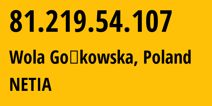 IP address 81.219.54.107 (Piaseczno, Mazovia, Poland) get location, coordinates on map, ISP provider AS12741 NETIA // who is provider of ip address 81.219.54.107, whose IP address