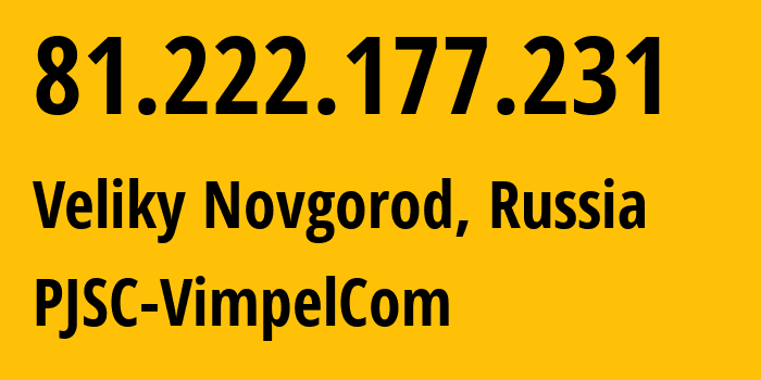 IP address 81.222.177.231 (Veliky Novgorod, Novgorod Oblast, Russia) get location, coordinates on map, ISP provider AS16345 PJSC-VimpelCom // who is provider of ip address 81.222.177.231, whose IP address