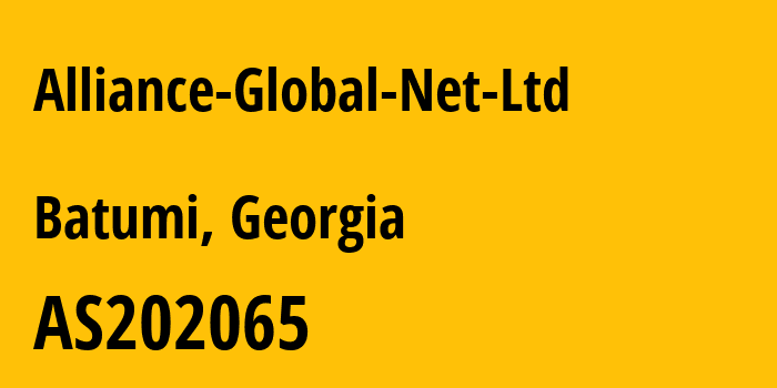 Информация о провайдере Alliance-Global-Net-Ltd AS202065 Alliance Global Net Ltd: все IP-адреса, network, все айпи-подсети