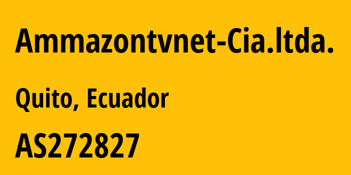 Информация о провайдере Ammazontvnet-Cia.ltda. AS272827 AMMAZONTVNET CIA.LTDA.: все IP-адреса, network, все айпи-подсети