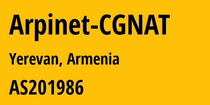 Информация о провайдере Arpinet-CGNAT AS201986 Arpinet LLC: все IP-адреса, network, все айпи-подсети