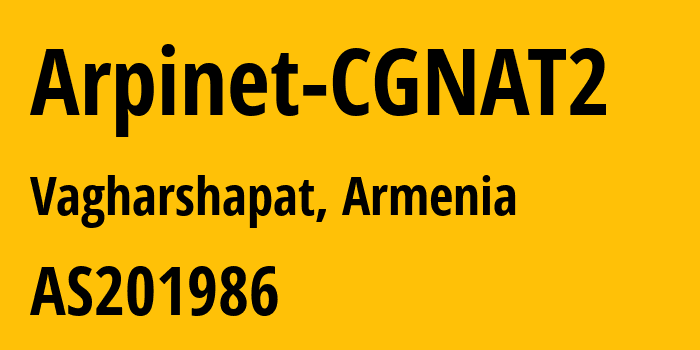 Информация о провайдере Arpinet-CGNAT2 AS201986 Arpinet LLC: все IP-адреса, network, все айпи-подсети