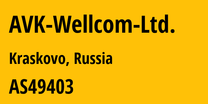 Информация о провайдере AVK-Wellcom-Ltd. AS49403 AVK-Wellcom Ltd.: все IP-адреса, network, все айпи-подсети