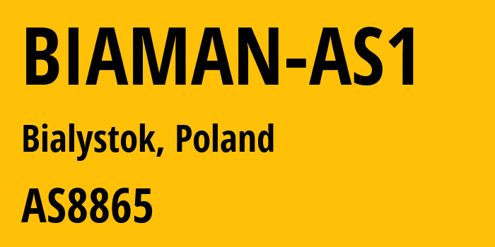 Информация о провайдере BIAMAN-AS1 AS8865 Politechnika Bialostocka: все IP-адреса, network, все айпи-подсети