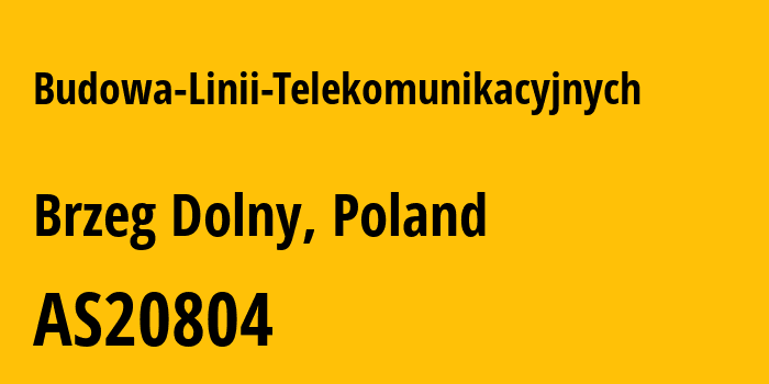 Информация о провайдере Budowa-Linii-Telekomunikacyjnych AS20804 Exatel S.A.: все IP-адреса, network, все айпи-подсети