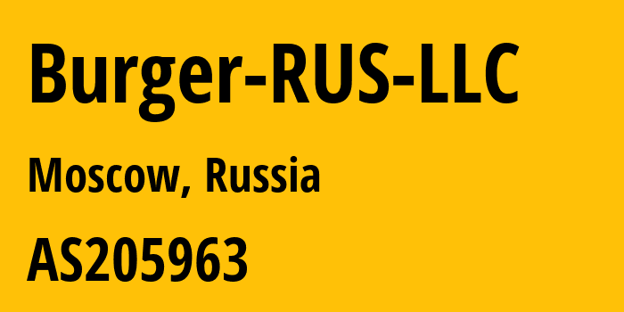 Информация о провайдере Burger-RUS-LLC AS205963 BURGER RUS LLC: все IP-адреса, network, все айпи-подсети