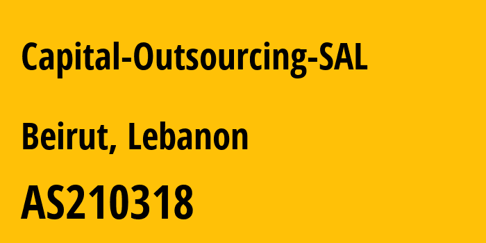 Информация о провайдере Capital-Outsourcing-SAL AS210318 CAPITAL OUTSOURCING SAL: все IP-адреса, network, все айпи-подсети