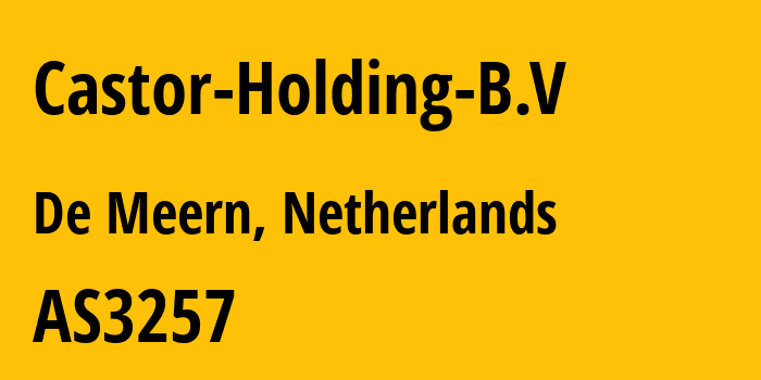 Информация о провайдере Castor-Holding-B.V AS3257 GTT Communications Inc.: все IP-адреса, network, все айпи-подсети