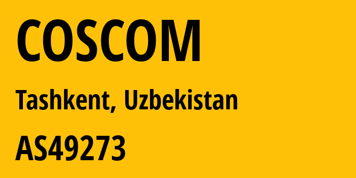 Информация о провайдере COSCOM AS49273 COSCOM Liability Limited Company: все IP-адреса, network, все айпи-подсети