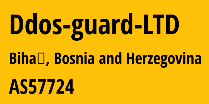 Информация о провайдере Ddos-guard-LTD AS57724 DDOS-GUARD LTD: все IP-адреса, network, все айпи-подсети