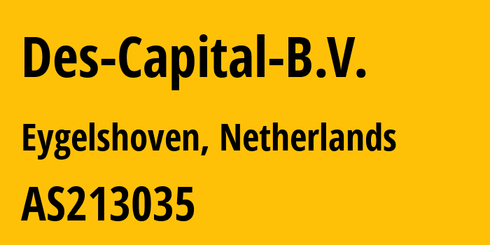 Информация о провайдере Des-Capital-B.V. AS213035 Des Capital B.V.: все IP-адреса, network, все айпи-подсети