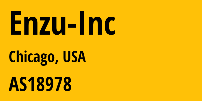 Информация о провайдере Enzu-Inc AS18978 Enzu Inc: все IP-адреса, network, все айпи-подсети