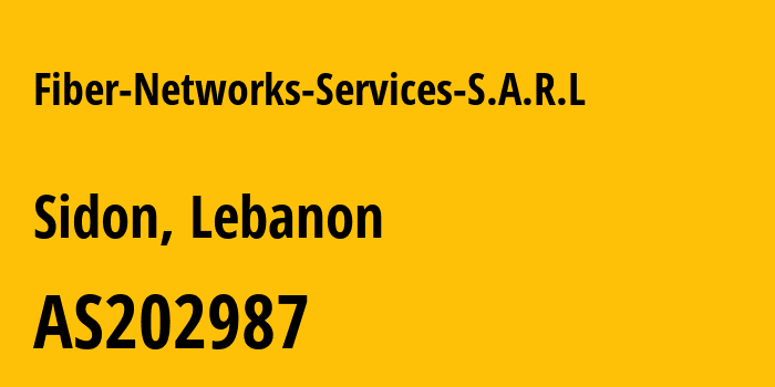 Информация о провайдере Fiber-Networks-Services-S.A.R.L AS202987 Fiber Networks Services S.A.R.L: все IP-адреса, network, все айпи-подсети