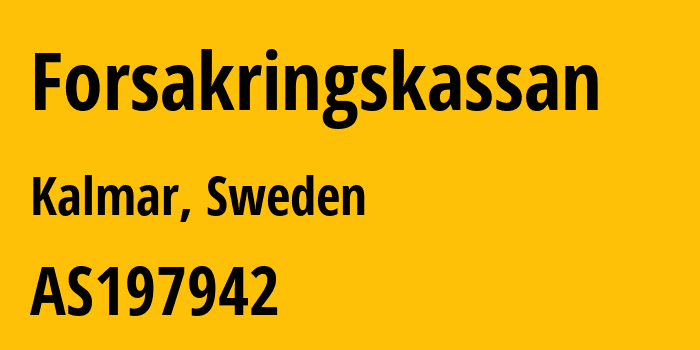 Информация о провайдере Forsakringskassan AS197942 Forsakringskassan: все IP-адреса, network, все айпи-подсети