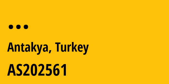 Информация о провайдере High-Speed-Telekomunikasyon-ve-Haberlesme-Hizmetleri-Ltd-Sti AS202561 High Speed Telekomunikasyon ve Hab. Hiz. Ltd. Sti.: все IP-адреса, network, все айпи-подсети