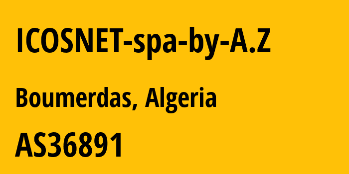 Информация о провайдере ICOSNET-spa-by-A.Z AS36891 Icosnet SPA: все IP-адреса, network, все айпи-подсети