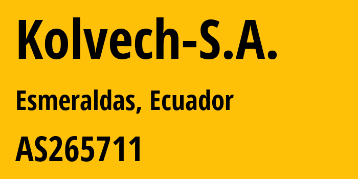 Информация о провайдере Kolvech-S.A. AS265711 KOLVECH S.A. (TELECOMVAS): все IP-адреса, network, все айпи-подсети