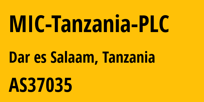 Информация о провайдере MIC-Tanzania-PLC AS37035 MIC TANZANIA LTD: все IP-адреса, network, все айпи-подсети