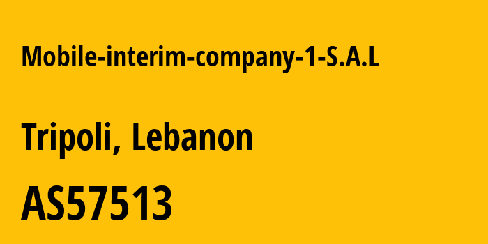 Информация о провайдере Mobile-interim-company-1-S.A.L AS57513 Mobile interim company 1 S.A.L.: все IP-адреса, network, все айпи-подсети