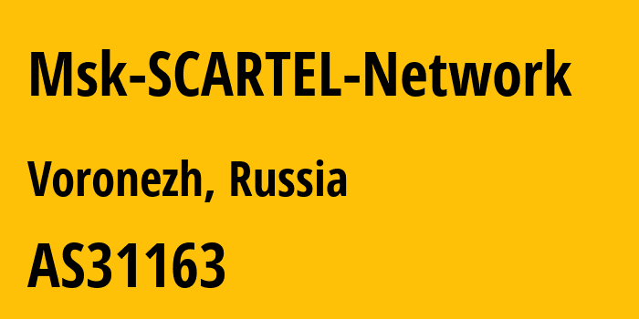 Информация о провайдере Msk-SCARTEL-Network AS31163 PJSC MegaFon: все IP-адреса, network, все айпи-подсети