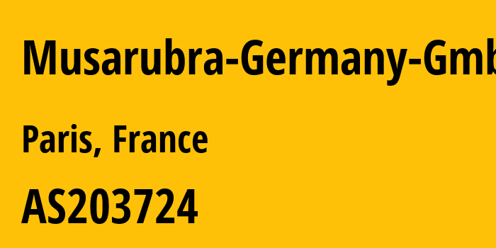 Информация о провайдере Musarubra-Germany-GmbH AS203724 Musarubra Germany GmbH: все IP-адреса, network, все айпи-подсети