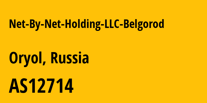 Информация о провайдере Net-By-Net-Holding-LLC-Belgorod AS12714 PJSC MegaFon: все IP-адреса, network, все айпи-подсети