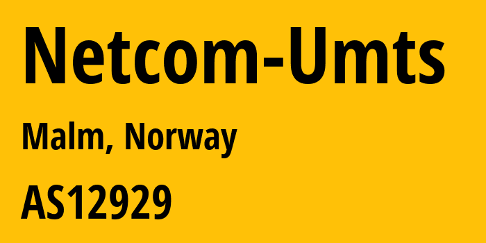 Информация о провайдере Netcom-Umts AS12929 Telia Norge AS: все IP-адреса, network, все айпи-подсети