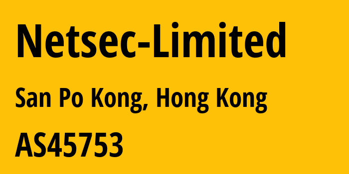 Информация о провайдере Netsec-Limited AS45753 Netsec Limited: все IP-адреса, network, все айпи-подсети