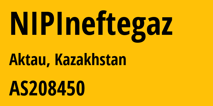 Информация о провайдере NIPIneftegaz AS208450 Megahost Kazakhstan TOO: все IP-адреса, network, все айпи-подсети