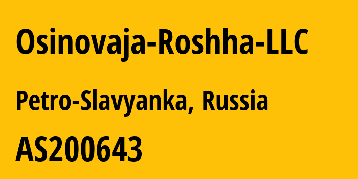 Информация о провайдере Osinovaja-Roshha-LLC AS200643 Osinovaya Roshcha Ltd: все IP-адреса, network, все айпи-подсети