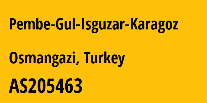 Информация о провайдере Pembe-Gul-Isguzar-Karagoz AS205463 Pembe Gul Isguzar Karagoz: все IP-адреса, network, все айпи-подсети