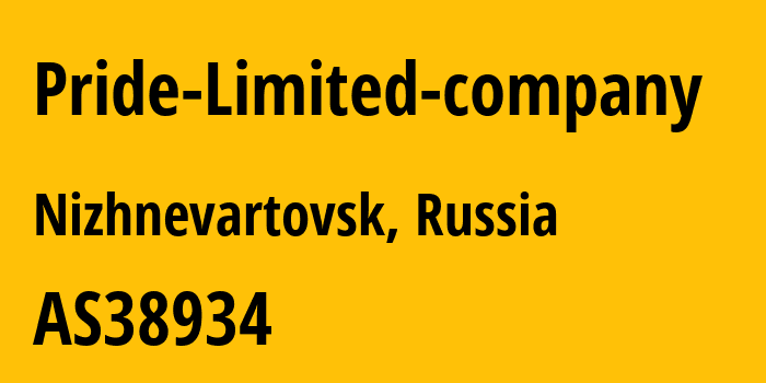 Информация о провайдере Pride-Limited-company AS38934 Pride Limited company: все IP-адреса, network, все айпи-подсети