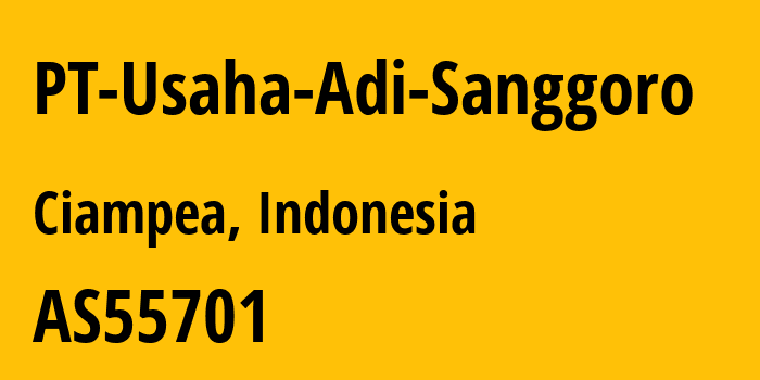 Информация о провайдере PT-Usaha-Adi-Sanggoro AS55701 PT. Usaha Adisanggoro: все IP-адреса, network, все айпи-подсети