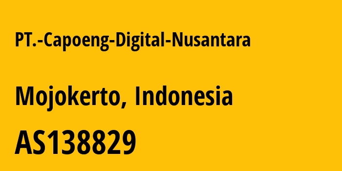 Информация о провайдере PT.-Capoeng-Digital-Nusantara AS138829 PT Capoeng Digital Nusantara: все IP-адреса, network, все айпи-подсети