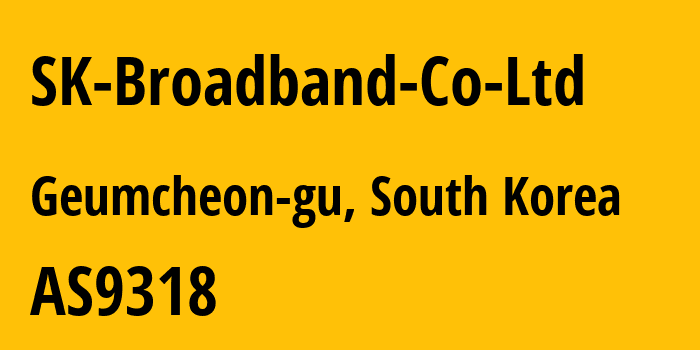 Информация о провайдере SK-Broadband-Co-Ltd AS9318 SK Broadband Co Ltd: все IP-адреса, network, все айпи-подсети