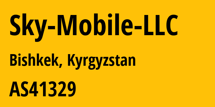 Информация о провайдере Sky-Mobile-LLC AS41329 Sky Mobile LLC: все IP-адреса, network, все айпи-подсети