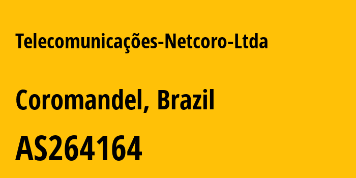 Информация о провайдере Telecomunicações-Netcoro-Ltda AS264164 Telecomunicações Netcoro Ltda: все IP-адреса, network, все айпи-подсети