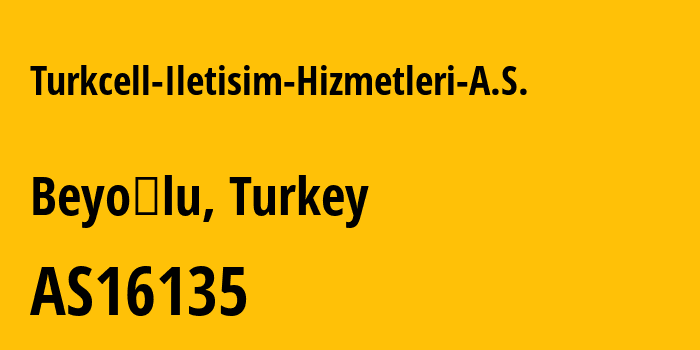 Информация о провайдере Turkcell-Iletisim-Hizmetleri-A.S. AS16135 TURKCELL ILETISIM HIZMETLERI A.S.: все IP-адреса, network, все айпи-подсети