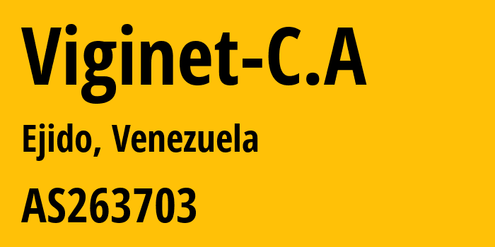 Информация о провайдере Viginet-C.A AS263703 VIGINET C.A: все IP-адреса, network, все айпи-подсети