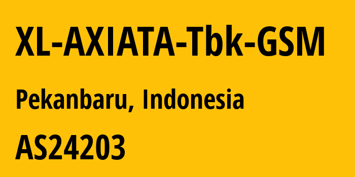 Информация о провайдере XL-AXIATA-Tbk-GSM AS24203 PT XL Axiata: все IP-адреса, network, все айпи-подсети